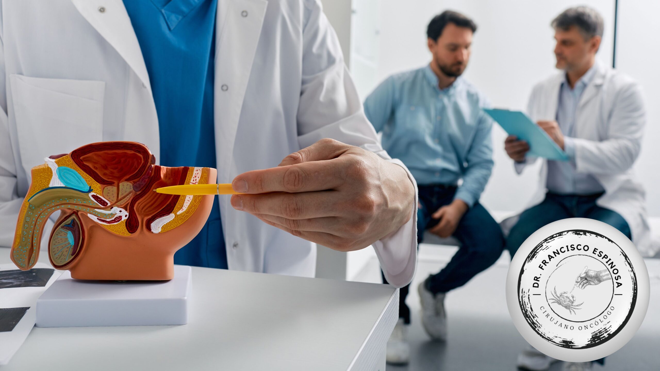 Cáncer de próstata Cáncer de próstata