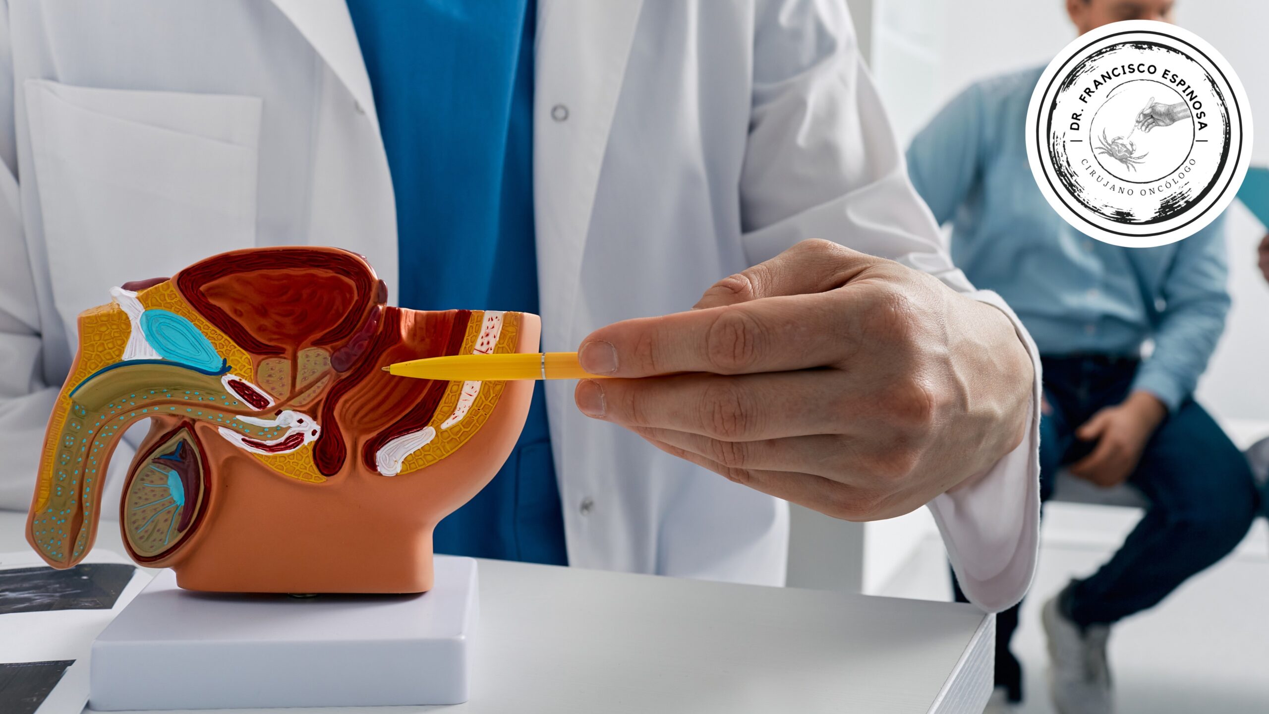 Cáncer de próstata Cáncer de próstata